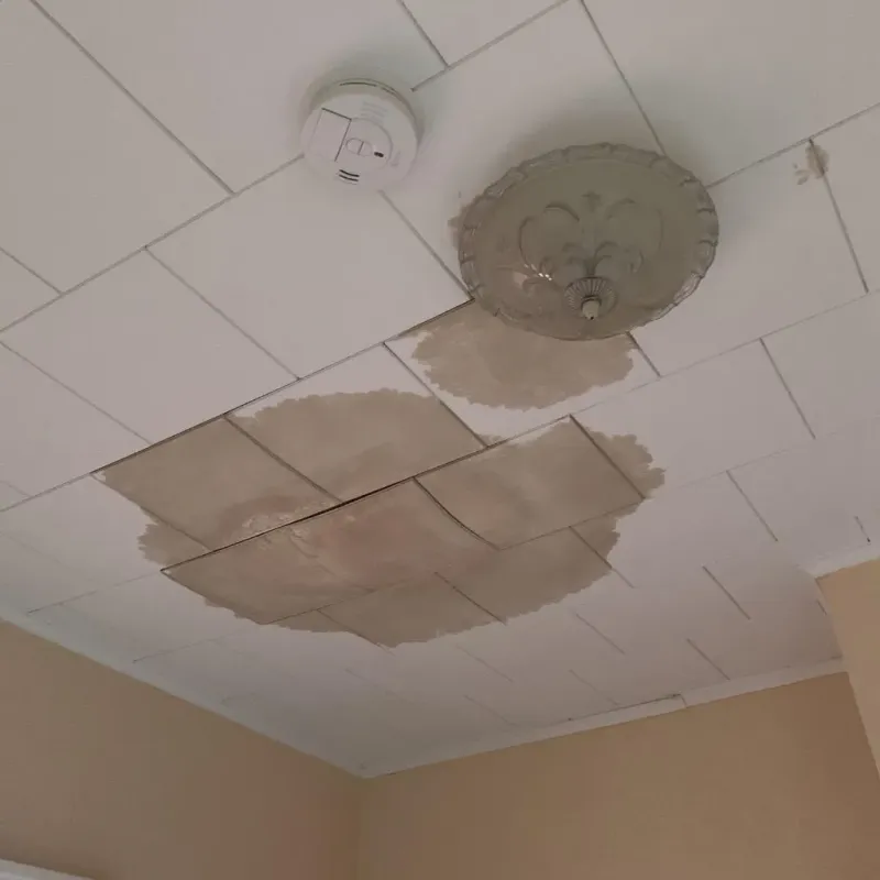 Ceiling Water Damage Repair in Merriam Woods, MO