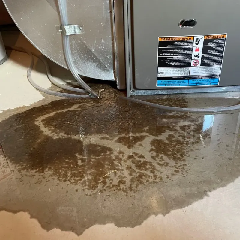 Pipe Burst and Leak Restoration in Merriam Woods, MO