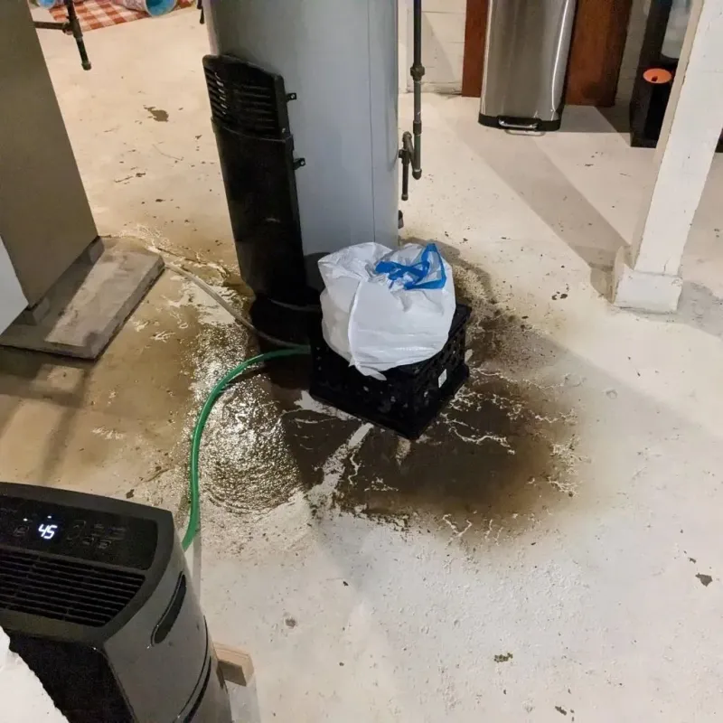 Sewage Backup Cleanup Service in Merriam Woods, MO